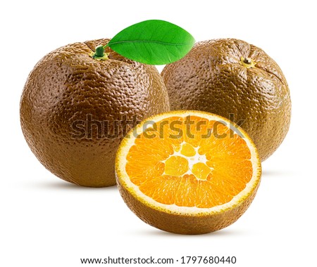 Two chocolate orange fruit one cut in half with leaf isolated on white background. Clipping Path. Full depth of field. Royalty-Free Stock Photo #1797680440