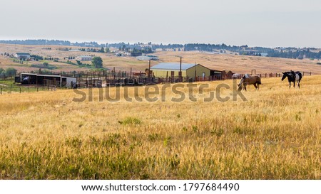 Pastoral scene of a late summer afternoon with barn, corrals, pasture grass, and two paint horses grazing