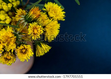 Small terracotta pot filled with yellow  dandelion and wattle flowers. Close up nature image with black background.
