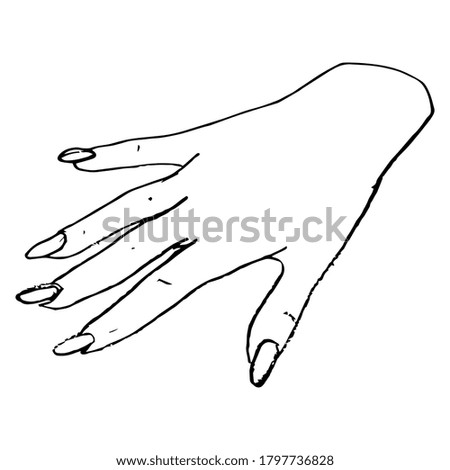 Beautiful female hand with long nails in elegant gesture. Black and white linear silhouette. Hand drawn doodle sketch.