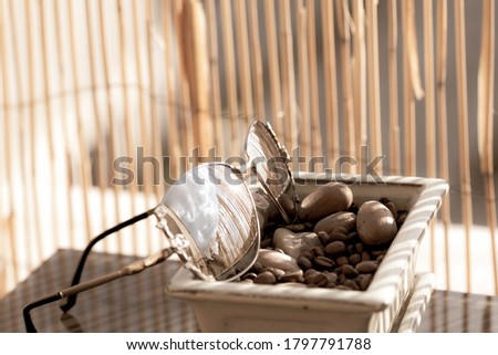 Women Sunglasses profile with big lenses having a bamboo fence as a background Selective focus . High quality photo