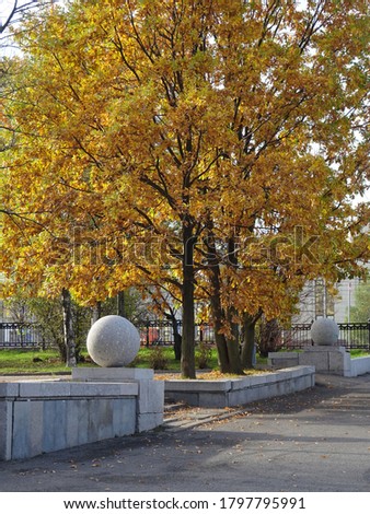 park sculpture granite ball on autumn foliage background, selective focus
