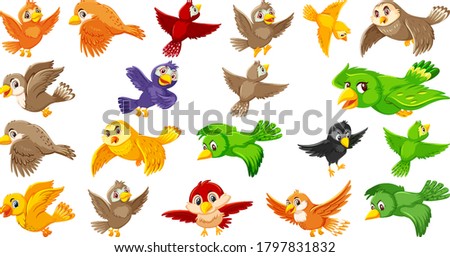 Set of bird cartoon character illustration