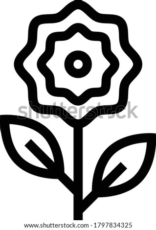 flower vector thin line icon 