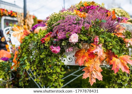 Decorative pumpkins from the Golden autumn festival in Moscow, near red square, the Kremlin. Halloween decor with various pumpkins, autumn vegetables and flowers. Harvest and garden decoration.