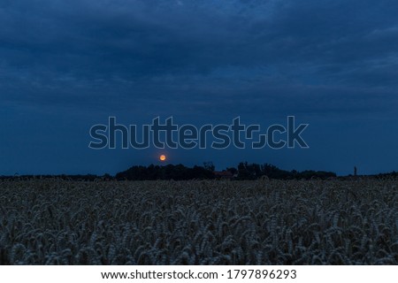 Red Grain Full Moon rising over grain field.