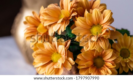 Autumn yellow chrysanthemums. A bouquet of flowers, close-up.