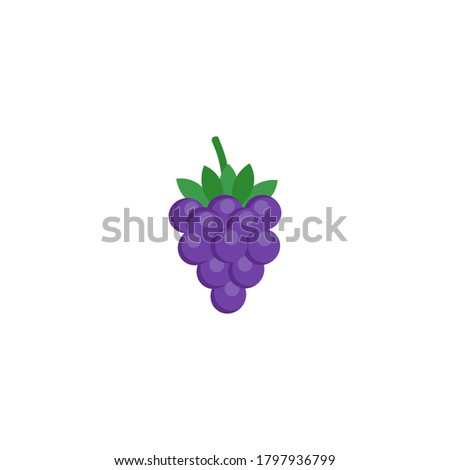 This is a berry. Vector blackberry isolated on white background.