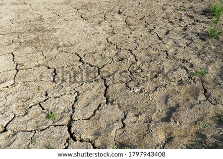 Texture - dry ground with cracks
