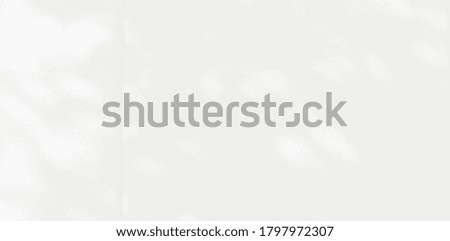 Abstract Shadow. blurred background. gray leaves that reflect concrete walls on a white wall surface for blurred backgrounds and monochrome wallpapers.