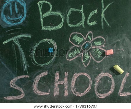 Words "Back to School" written with different colors chalks on blackboard . Indoors