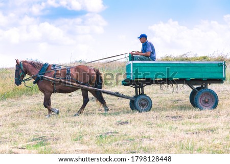 An old cart rushes along the road. Unusual mode of transport. Royalty-Free Stock Photo #1798128448
