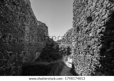 Ruins of a medieval European fortress on the mountain, black and white photo