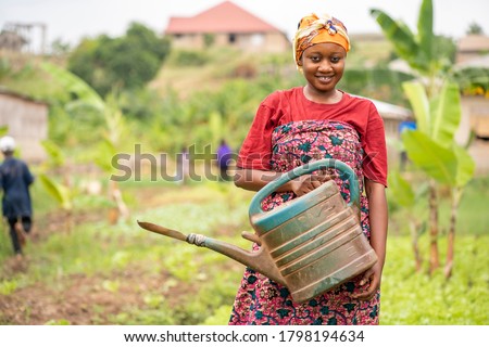  beautiful African lady with head scarf, plastic container-landscape image of Black woman in a greenfield with pretty smile-farming concept Royalty-Free Stock Photo #1798194634