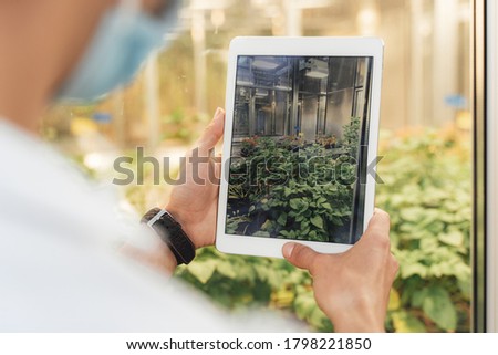 Close up of young researcher taking photograph of plants through digital tablet in greenhouse. High quality photo