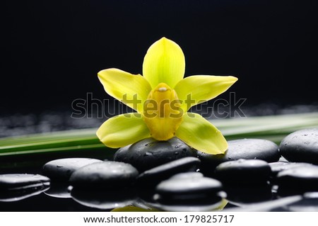Still life with yellow orchid, green leaf and zen stones