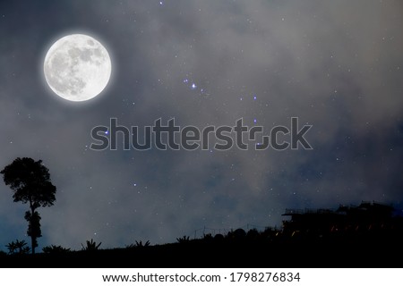Full moon in starry night over village.