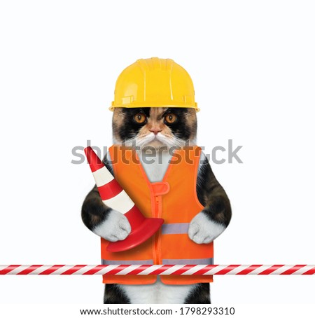 The cat road worker in a vest and a helmet is holding a traffic cone near a stop tape. White background. Isolated.