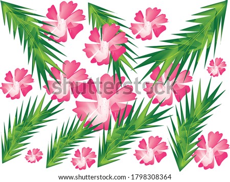Flowers and leafs and white background design for beautiful picture