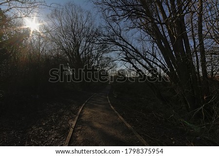 Hiking trail through a bare winter forest in the Wallonian countryside and blue sky with sun star 