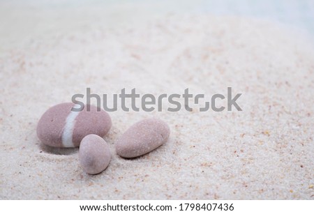 Colorful seashells and stones of various shapes and sizes lie on the white sand. Macro photography of a marine theme. The beach is somewhere near the sea or ocean. Sunny day. Vacation or weekend.