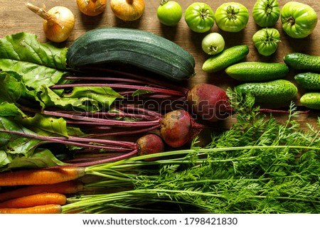 Harvest fresh vegetables with herbs on wooden table