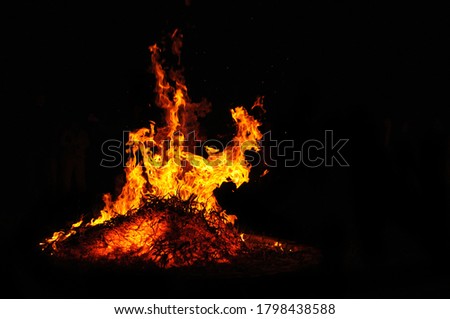 Burning fire close-up on a black background