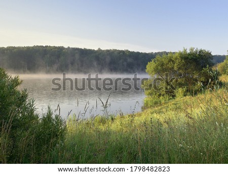 Forest lake shore in the morning. Tall grass and willow bushes on the deserted shore of the lake, fog creeps over the water, dense trees in the distance on the horizon, blue clear sky. Without people