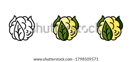 This is a set of icons with different styles of cauliflower. Contour and cauliflower symbols. Freehand drawing. Stylish solution for a website. Royalty-Free Stock Photo #1798509571