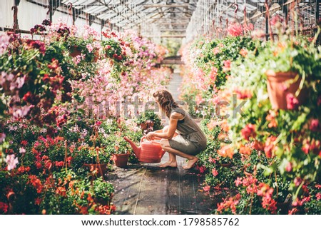 Young woman with large pink watering can walks along path to water flowers in modern greenhouse.