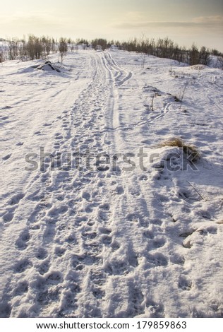 Footprints in the snow Royalty-Free Stock Photo #179859863