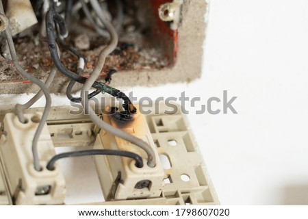 The electrical plug burned out because Ants make their nests in a power outlet. Short circuit electric concept