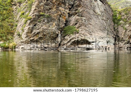 A rock and a lake with a forest around. Beautiful nature. Landscape. Summer