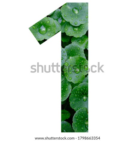 Number character alphabet, text, front "1" Waterdrop on leaves inside letter isolated on white background