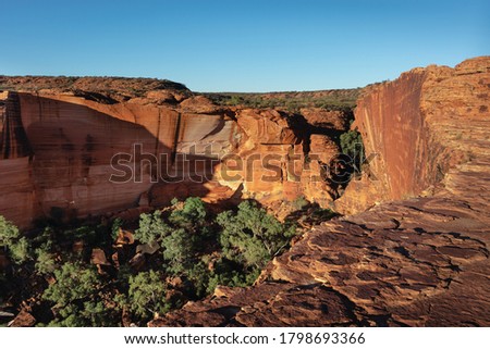 Vertical walls at Kings Canyon. Trees at the bottom. Wide angle picture. Watarrka national park, Northern Territory NT, Australia