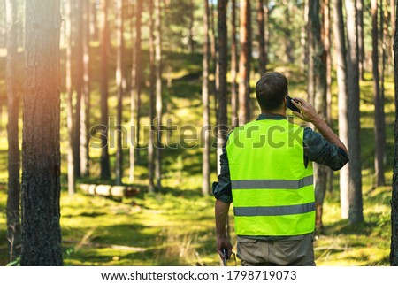 forester is watching the development of the forest. forestry and afforestation Royalty-Free Stock Photo #1798719073