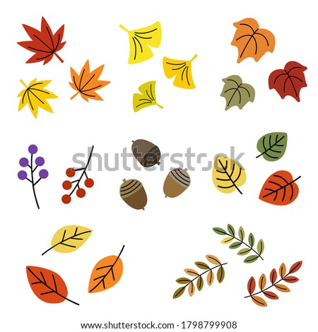 Vector set of autumn leaves