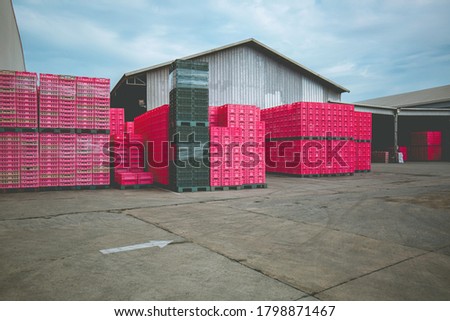 Pile of plastic color pink shipping pallet. Industrial plastic pallet stacked at factory warehouse. Cargo and shipping concept. Plastic pallet rack for export delivery industry.