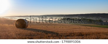 straw bales in early morning light on countryside of french normandy near calais and boulogne in parc naturel des caps et marais dâ€™opale Royalty-Free Stock Photo #1798891006