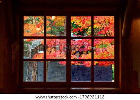 View of colorful maple trees behind the window of a restaurant decorated with logs in country-style and furnished in a cozy hut ambiance, in Daisetsuzan National Park, Hokkaido Japan