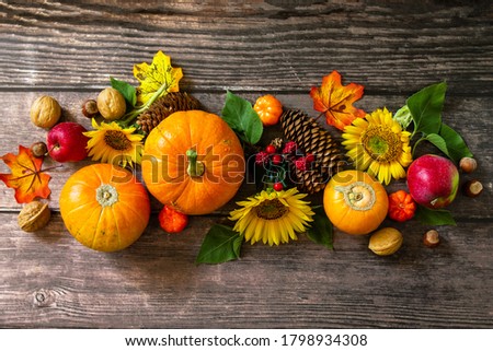 Autumn Background, Thanksgiving table. Pumpkins, sunflowers, apples and fallen leaves. Top view flat lay. 