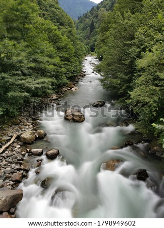 long exposure picture of firtina River origins from kackar Mountains with green forest background in turkey near ayder plateau. 