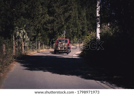 Rural scene of a red car carrying wood trunks on country road