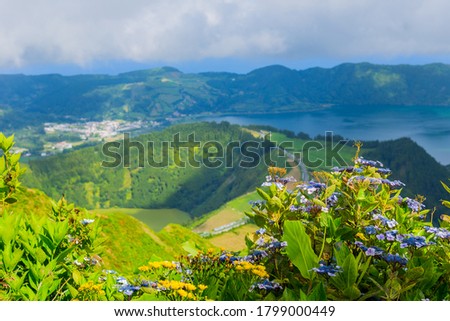 Wild flowers in the mountain in the lake of Sete Cidades, a volcanic crater lake on Sao Miguel island, Azores, Portugal. View from Boca do Inferno