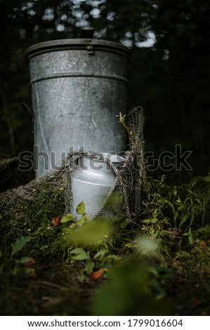 Old Milk dairy cans in nature