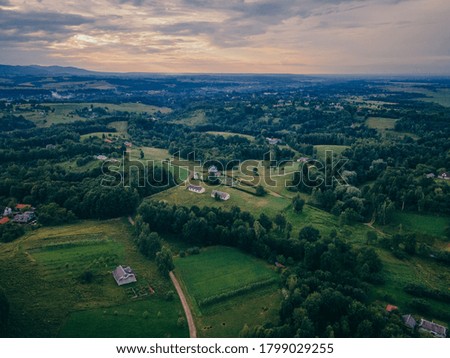 A view of the city from the top of a lush green field