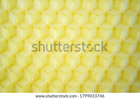 honeycomb made of wax close up. products of bees. Background
