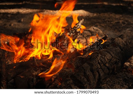 View of the fire flames and black coals.