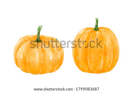 Two orange autumn pumpkins isolated on white background. Watercolor hand-drawn illustration. Perfect for your project, greeting cards, prints, covers, patterns, invitations, menu, logo.