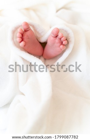 tiny, cute, bare feet of a little caucasian newborn baby girl/boy wrapped in a heart shaped white soft and cosy blanket, symbolizing love   Royalty-Free Stock Photo #1799087782
